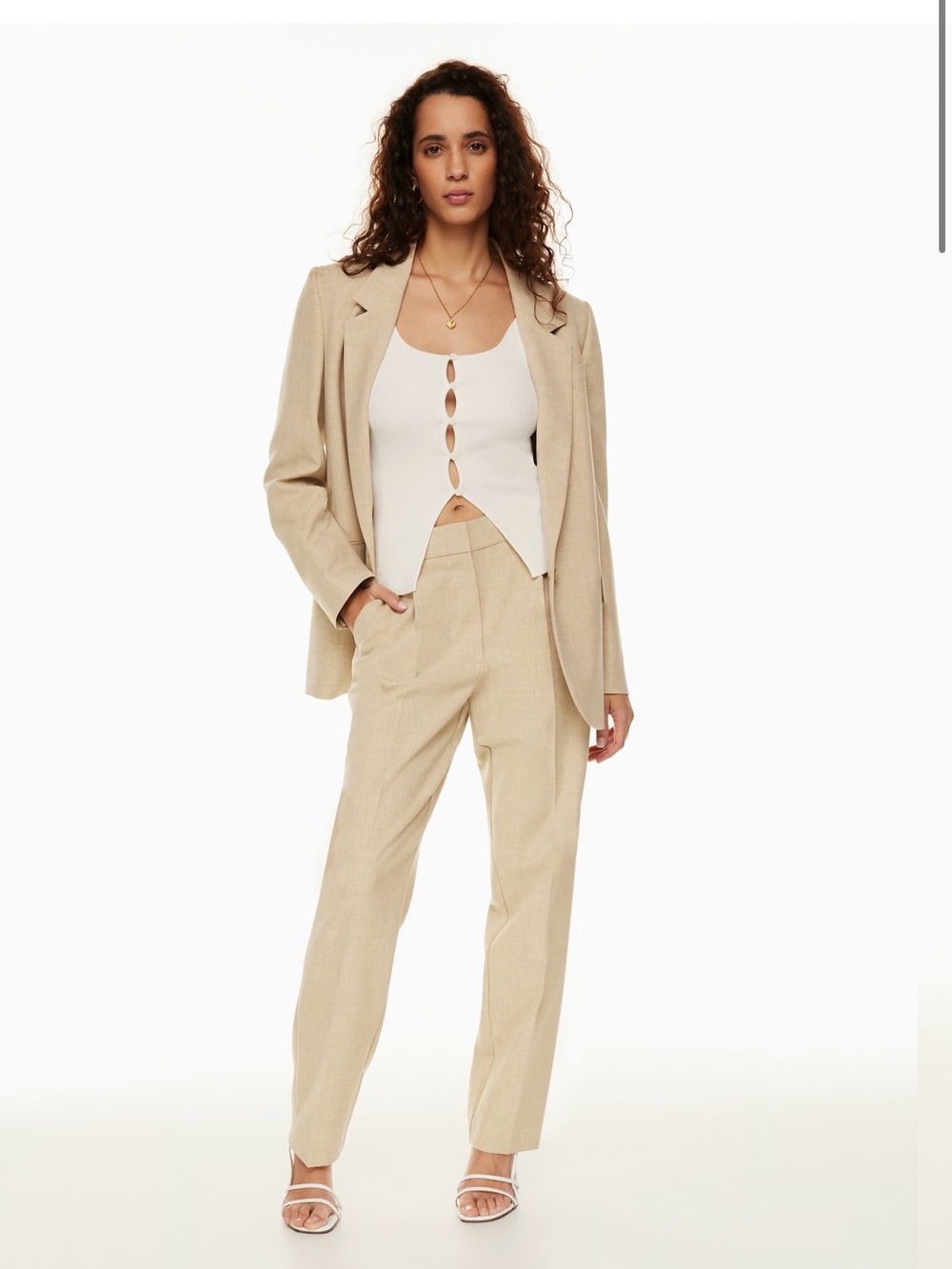 Aritzia Dress Pant Ibiza